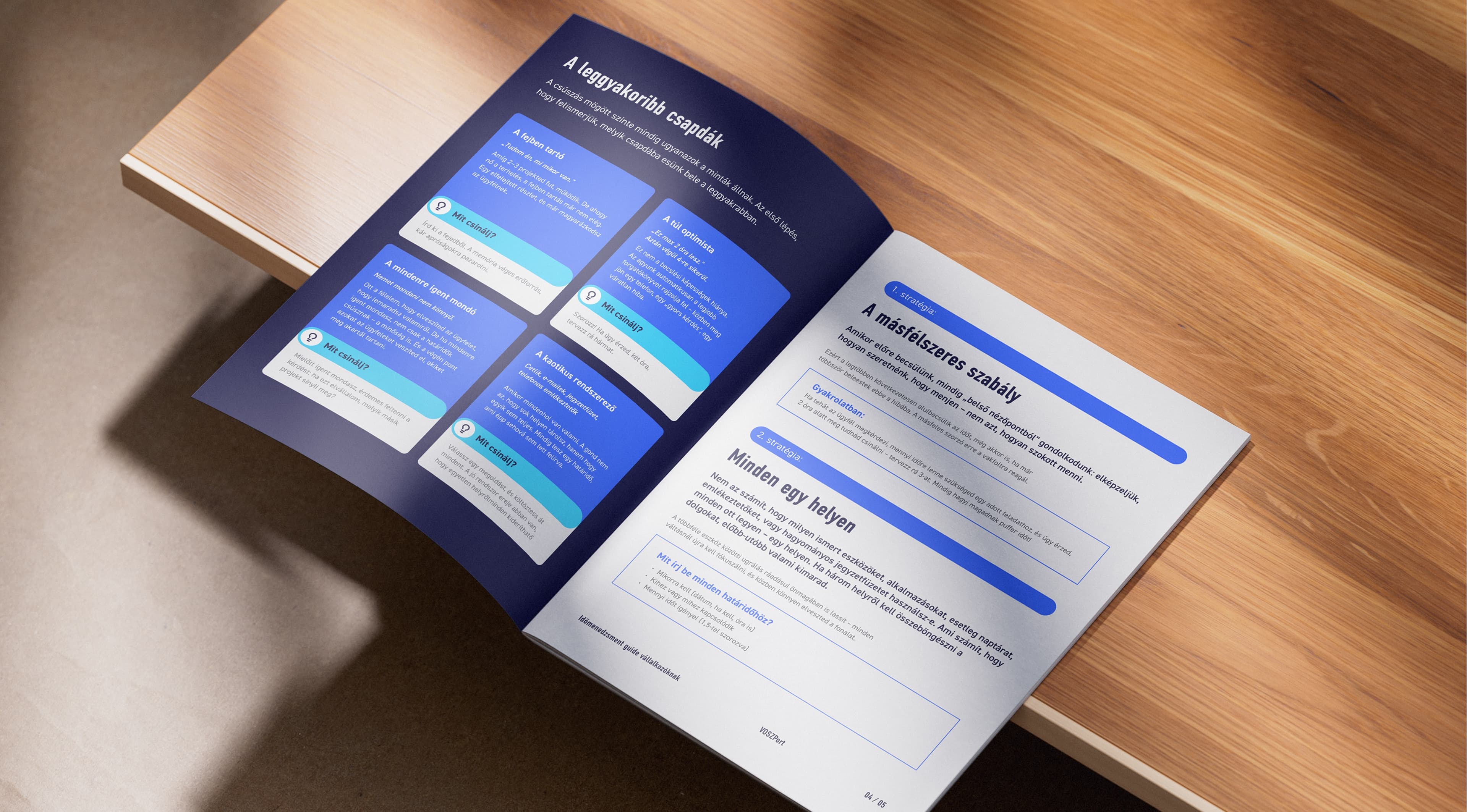 Downloadable VOSZPort guide (e-book)