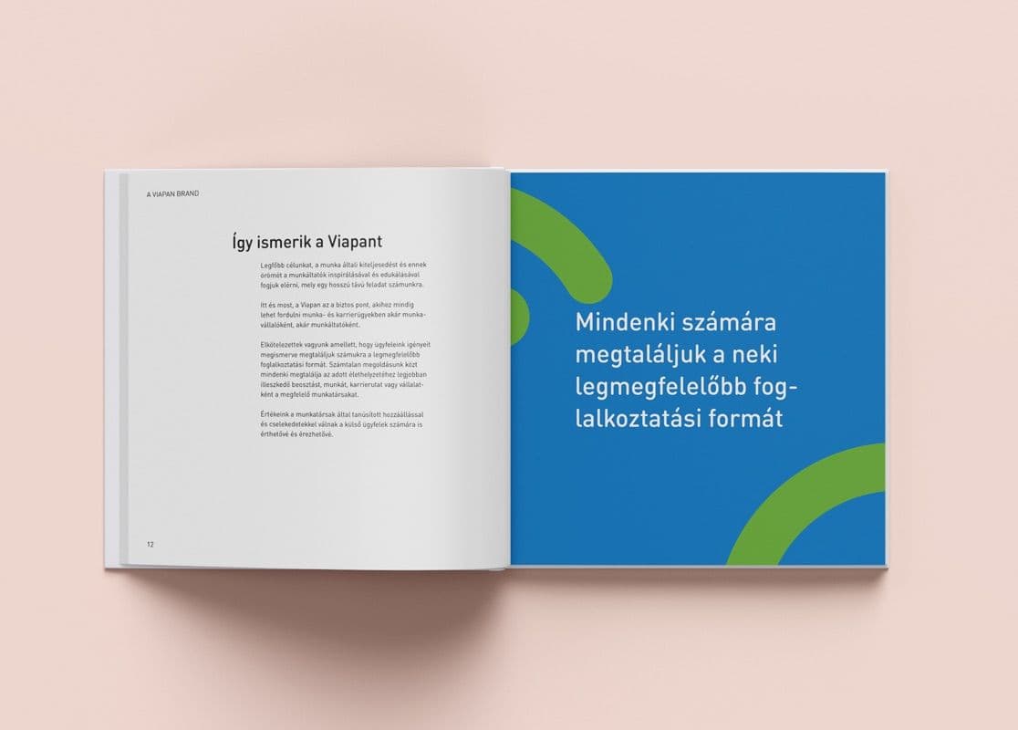 Inner pages of the Viapan Brand Book